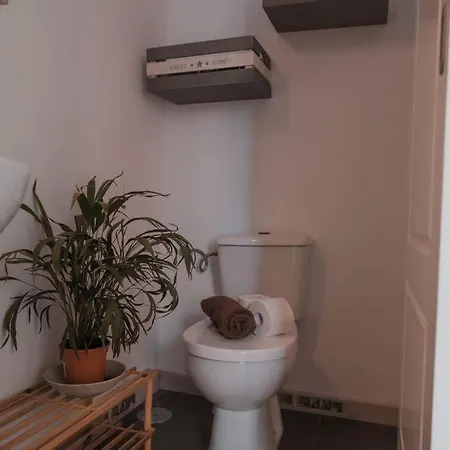 Topkapi * 코라레호